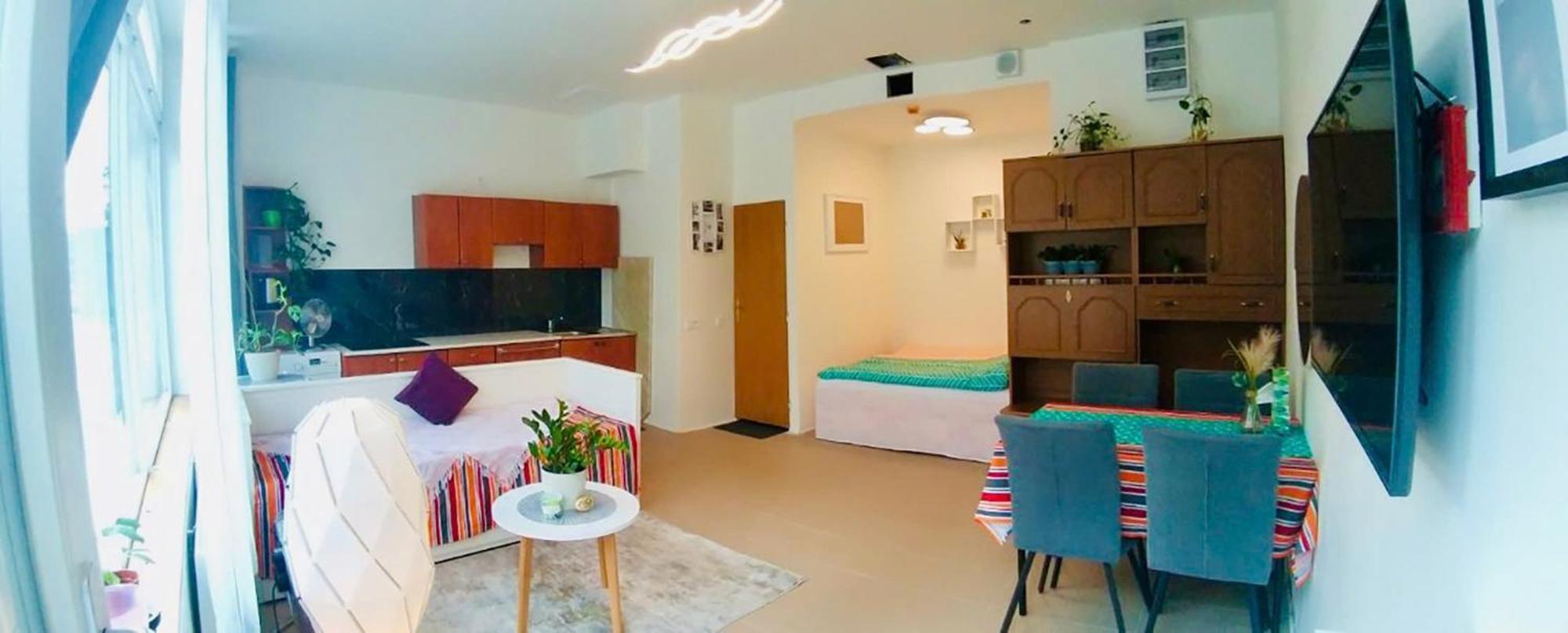 2 L Ground Floor Free Parking Praha